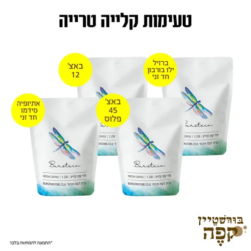 מיקס קלייה טריה