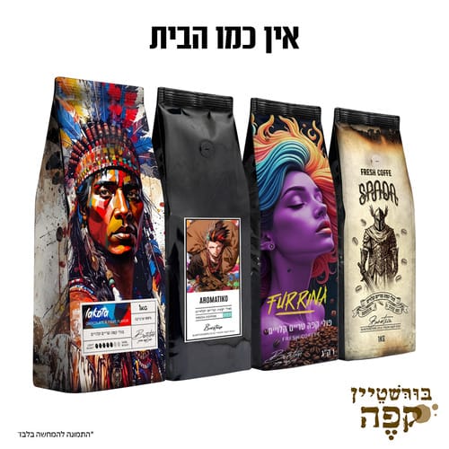 מיקס אין כמו בבית