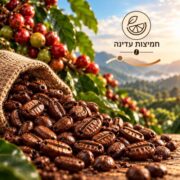א תמונה 4 חמיצות עדינה